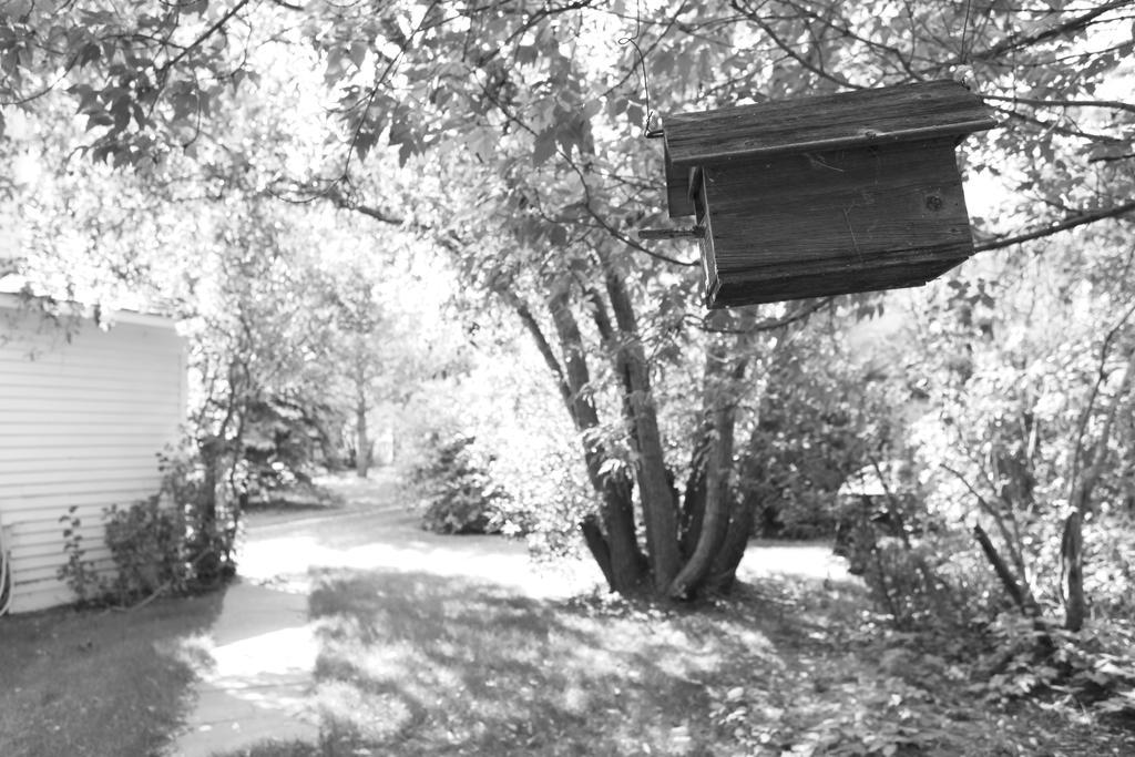 Sproule Heritage Bed & Breakfast Strathmore Kültér fotó